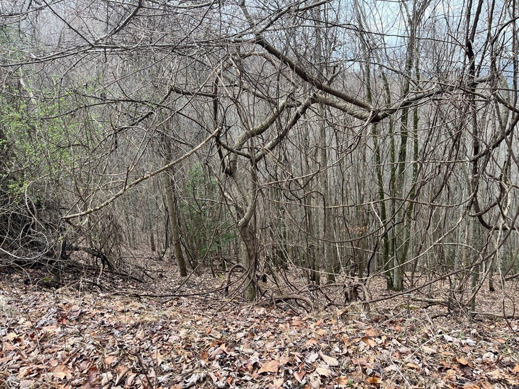 Picture 13