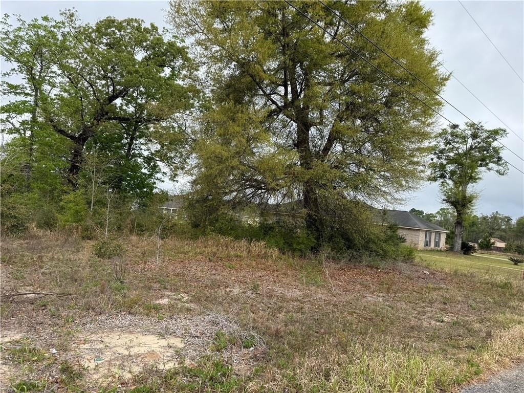 Residential Lot in Eight Mile