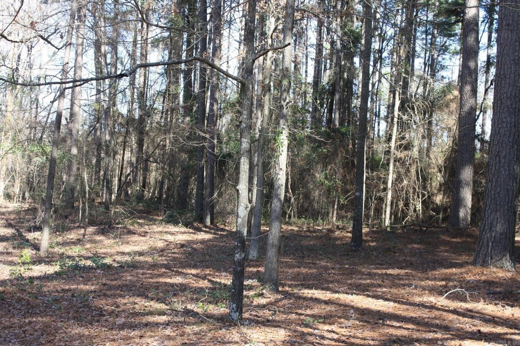 Picture 4