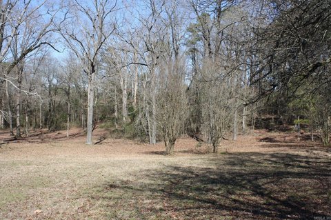 Land in Nashville, Arkansas