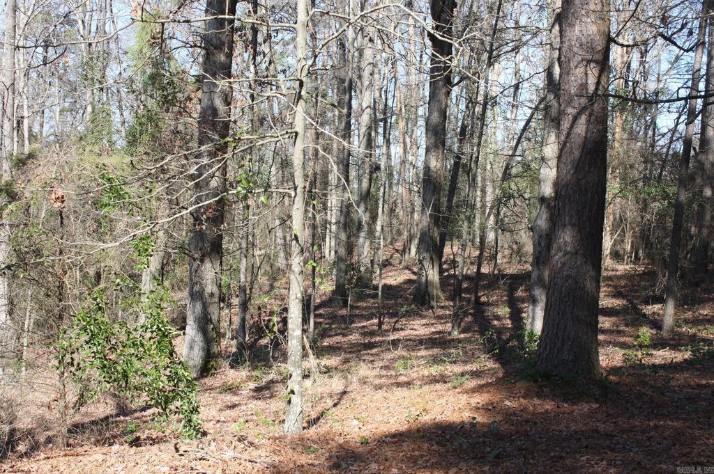 Picture 3