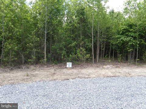 Wooded Lot in Georgetown, DE