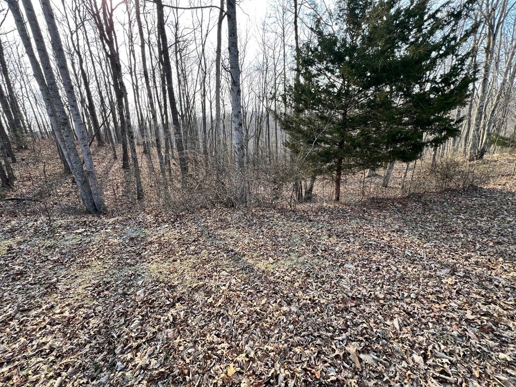 Picture 2