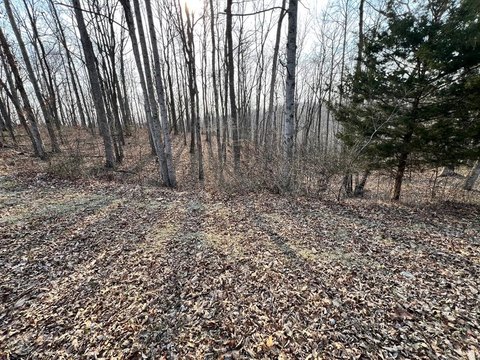 Land, Monterey, TN