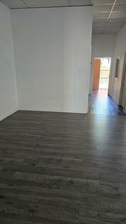 Picture 7