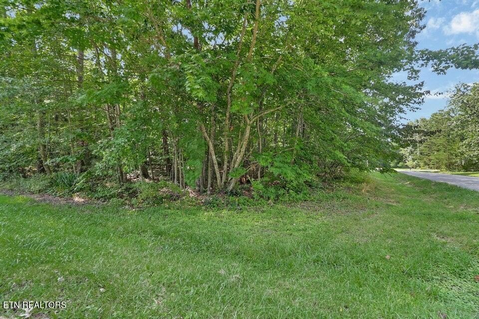 Picture 3