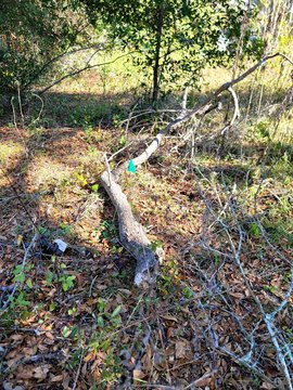 Land in Tallahassee, Florida