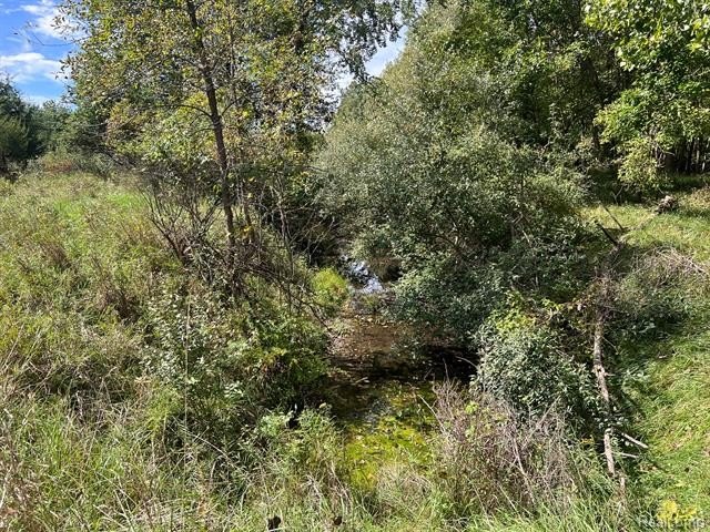 Picture 7