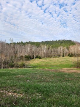 Land, Decatur, TN