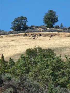 Land Parcel with Recreation Potential