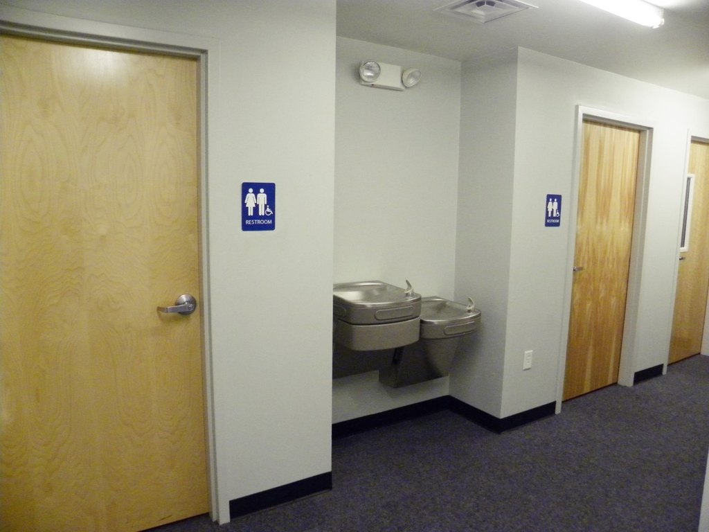 Picture 11
