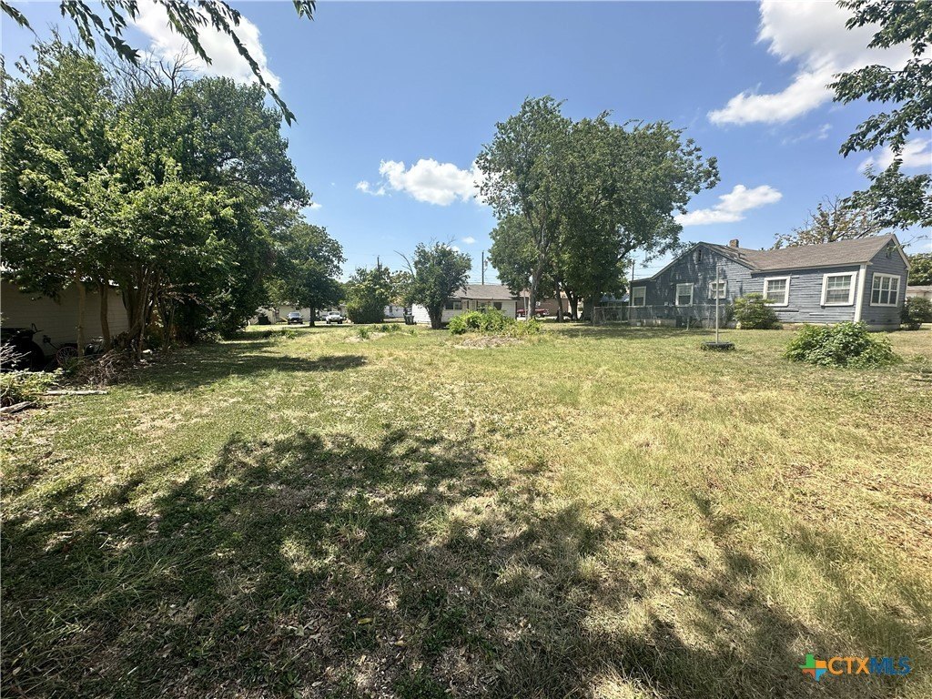 Picture 3