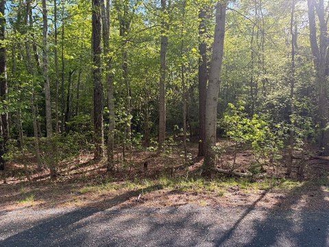 Residential Land in Greenbackville, VA