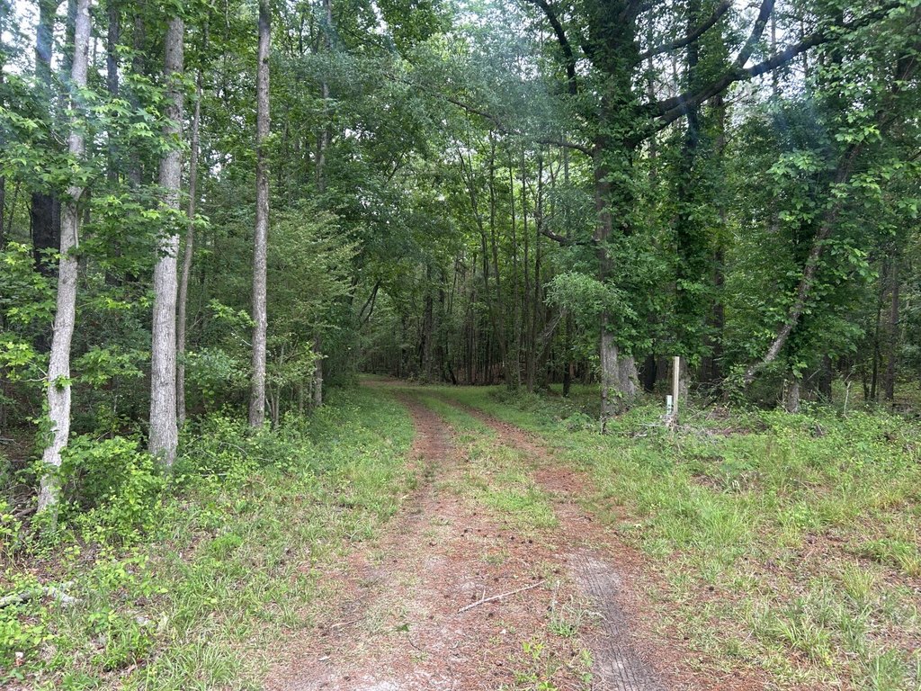 Picture 10