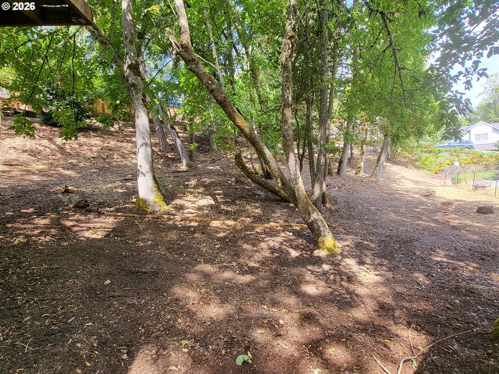 Picture 10