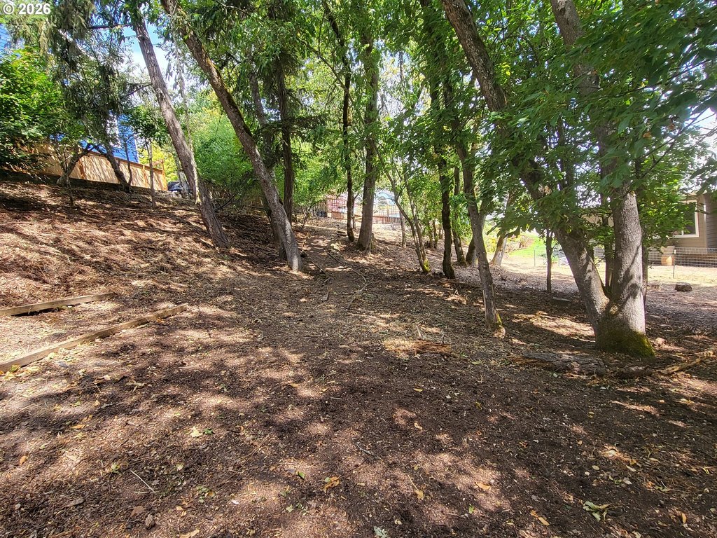 Picture 7