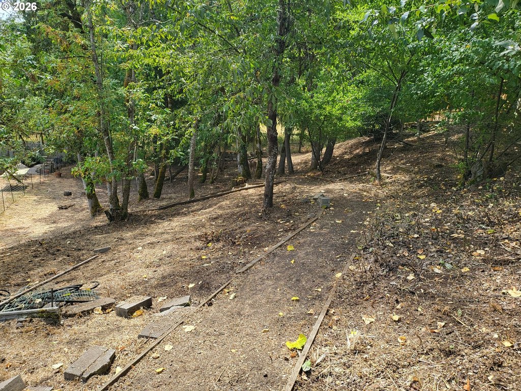 Picture 3