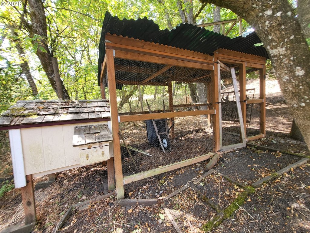 Picture 11