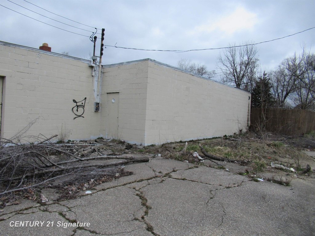 Picture 5