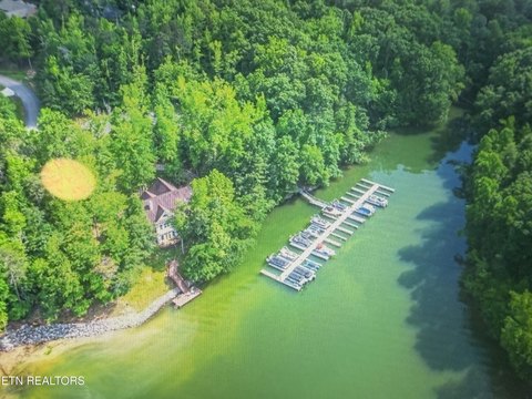 LAND - Rockwood, TN