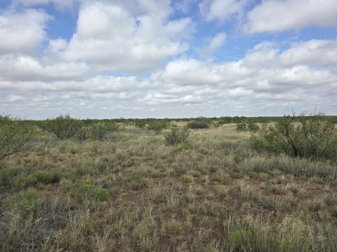 Land, Andrews, TX