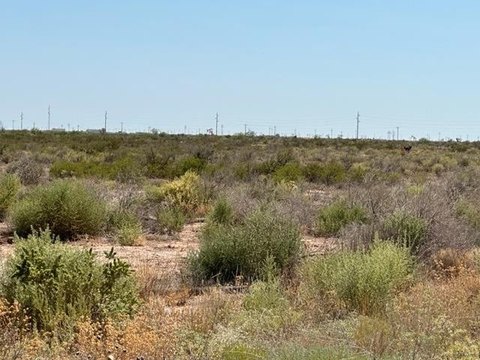 35 Acres in Odessa, Texas