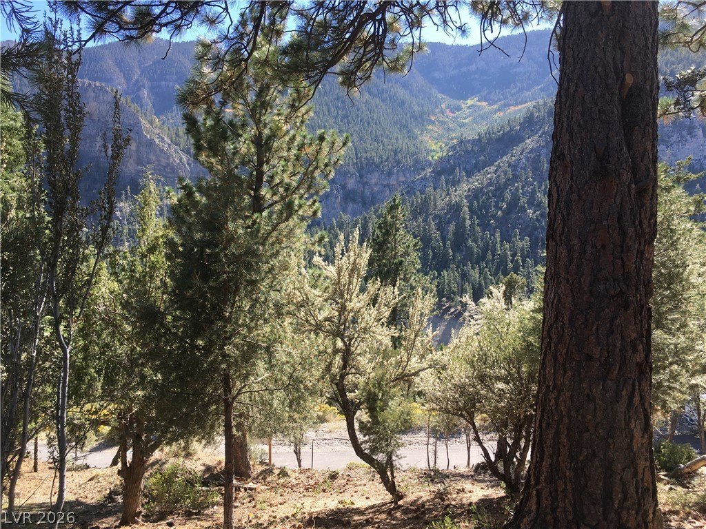 Picture 4