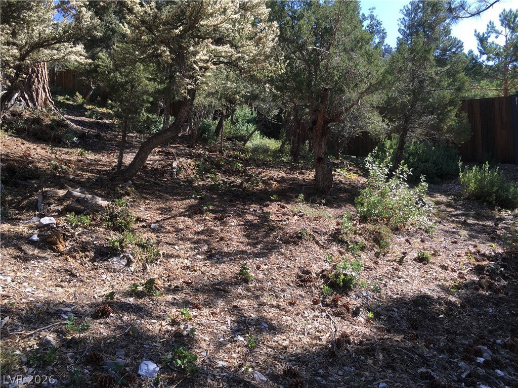 Picture 15