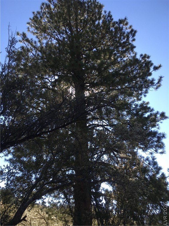 Picture 19