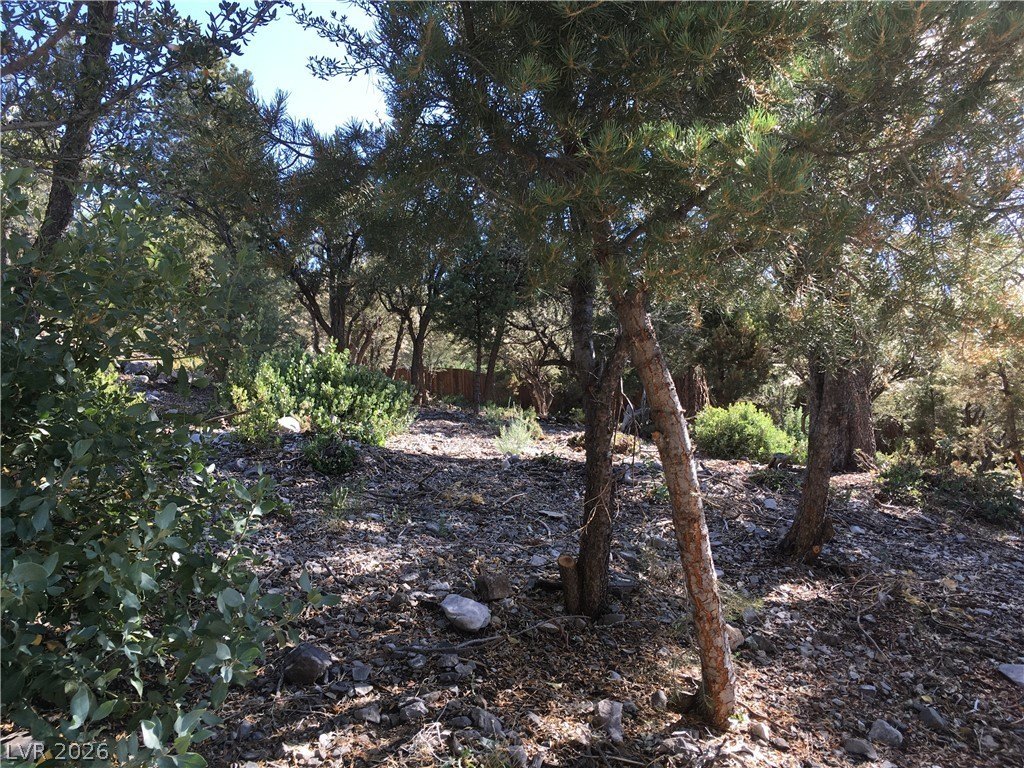 Picture 16