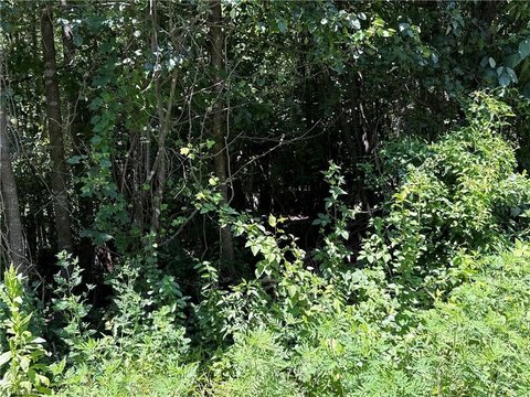 Land, North Wilkesboro, NC
