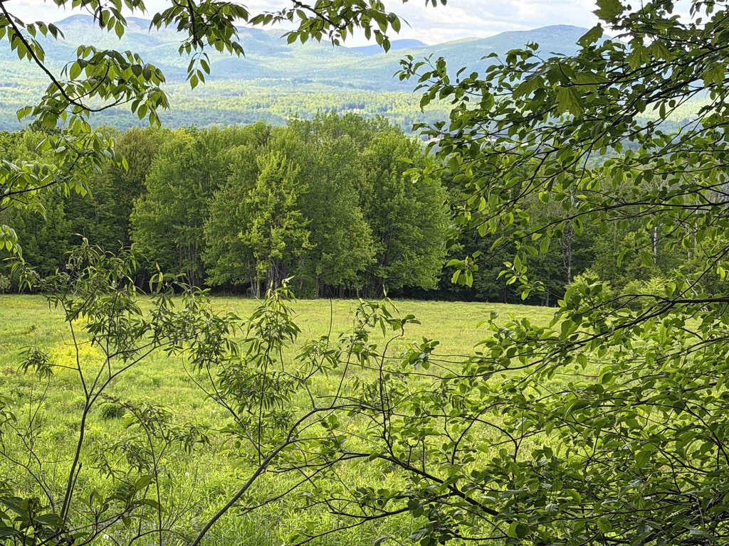 Picture 19