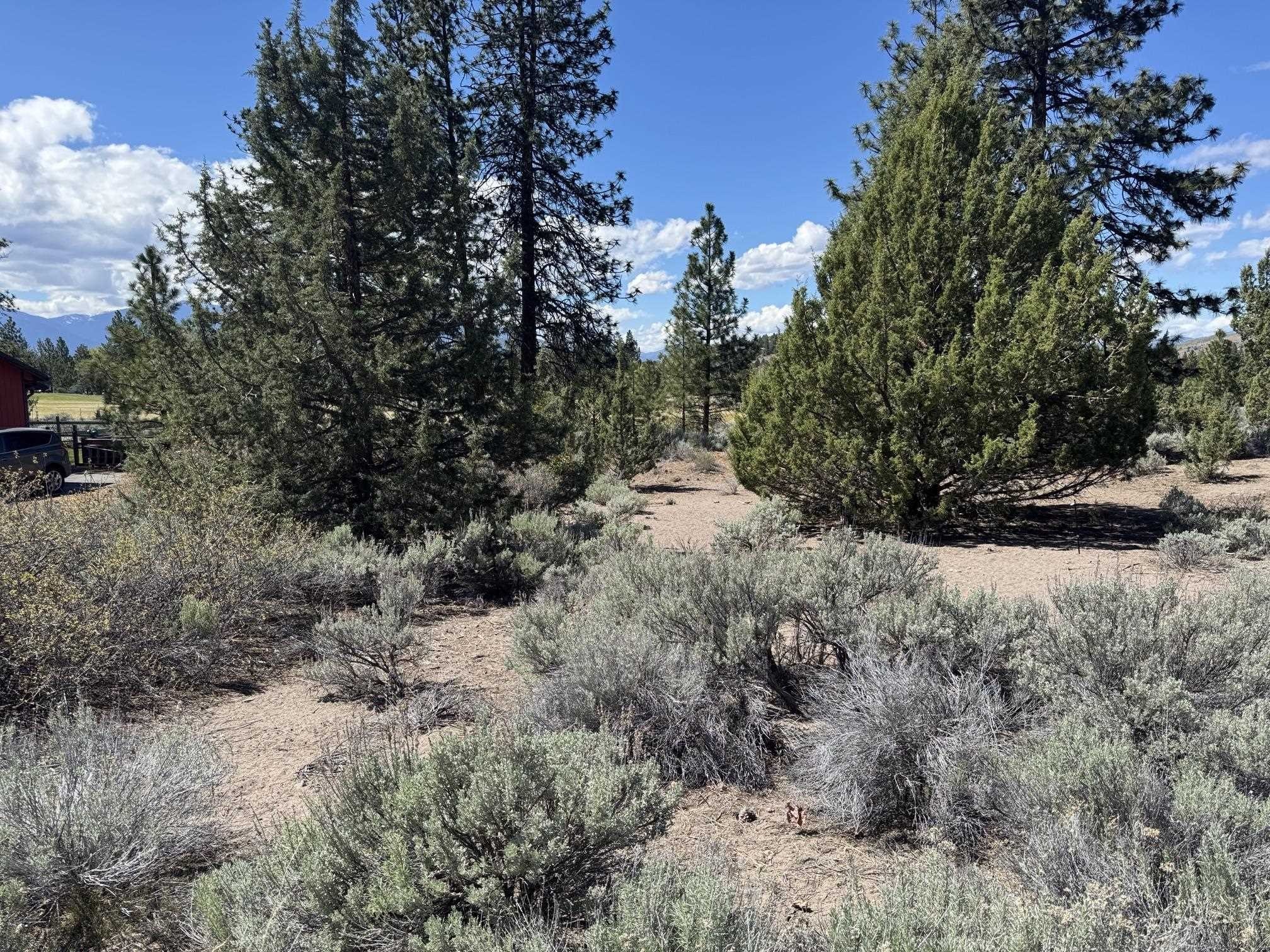 Golf Course Lot in Weed