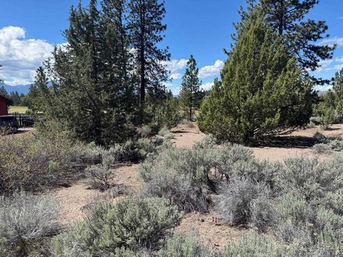 Golf Course Lot in Weed
