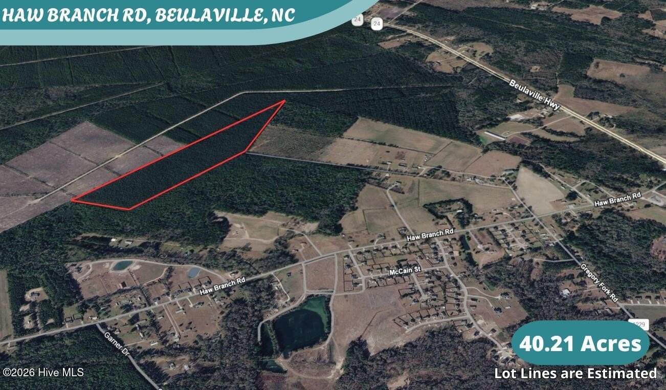 40.21 Acres Hunting Land