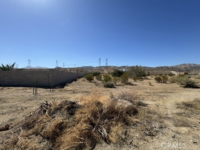 Picture 6