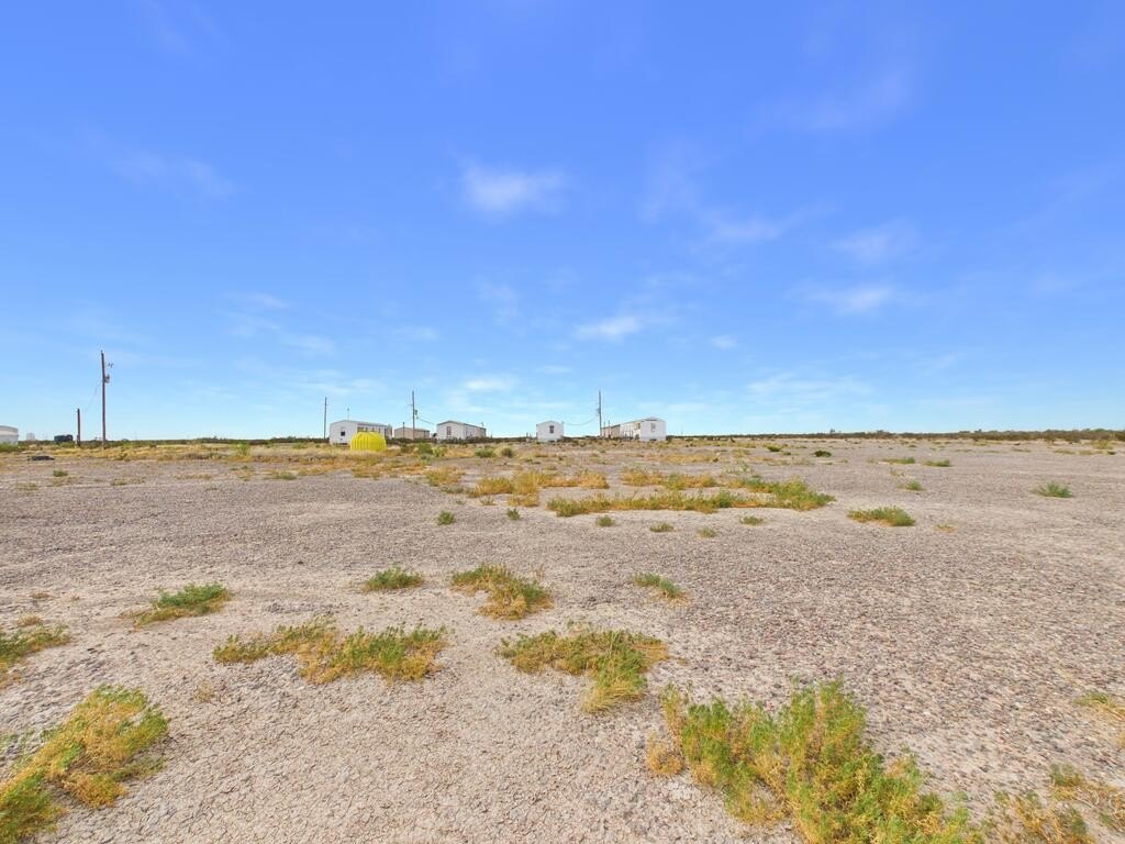 Picture 6