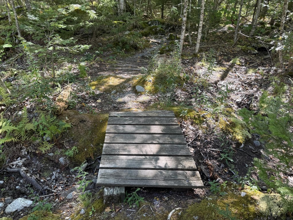 Picture 18