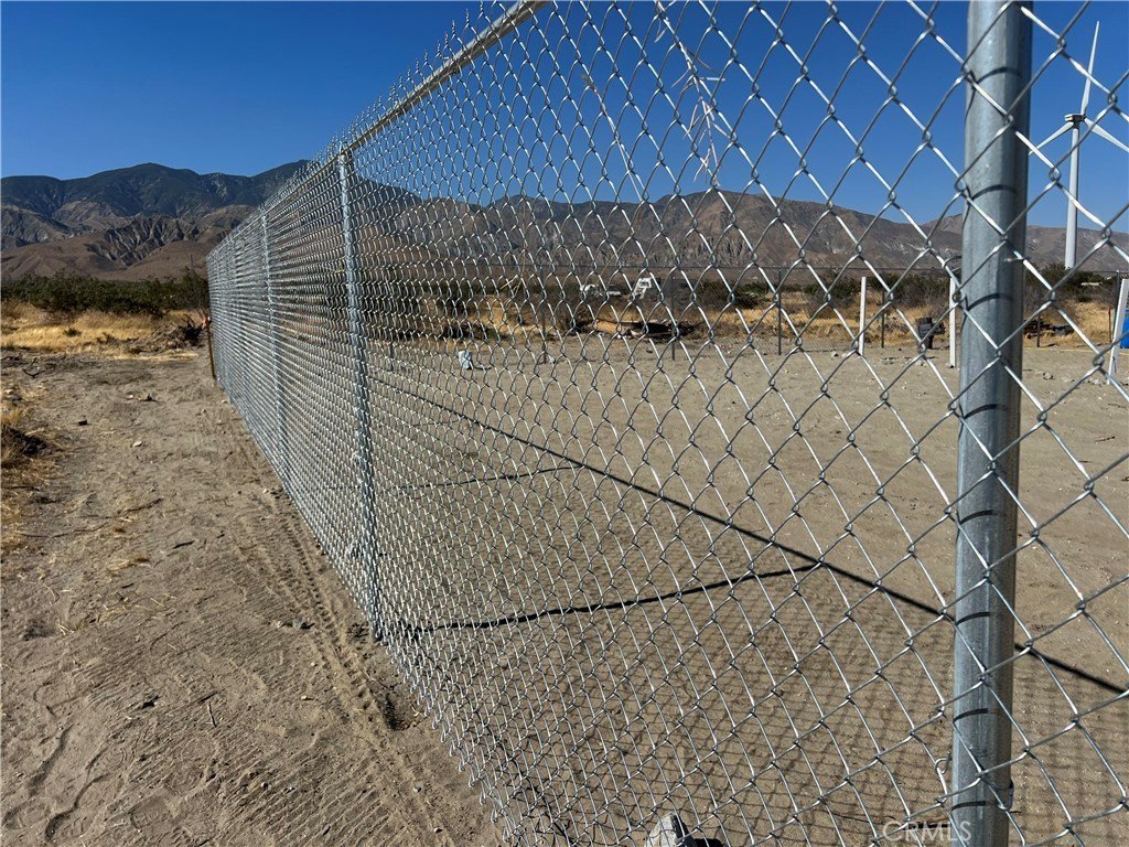 Picture 6