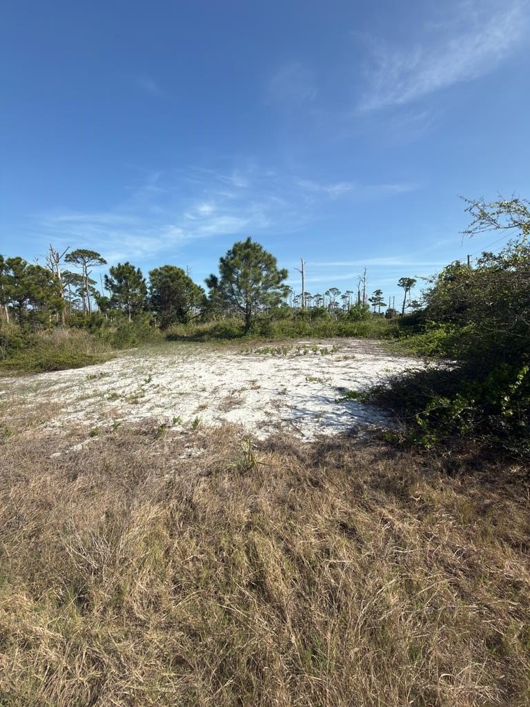 Cape San Blas Building Site