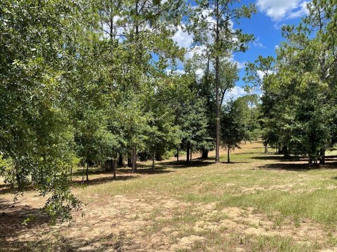 Land, EUSTIS, FL