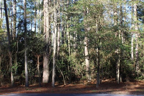 Residential Lot in Captains Cove
