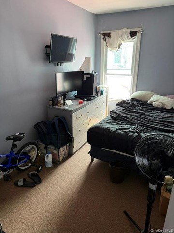 Picture 20
