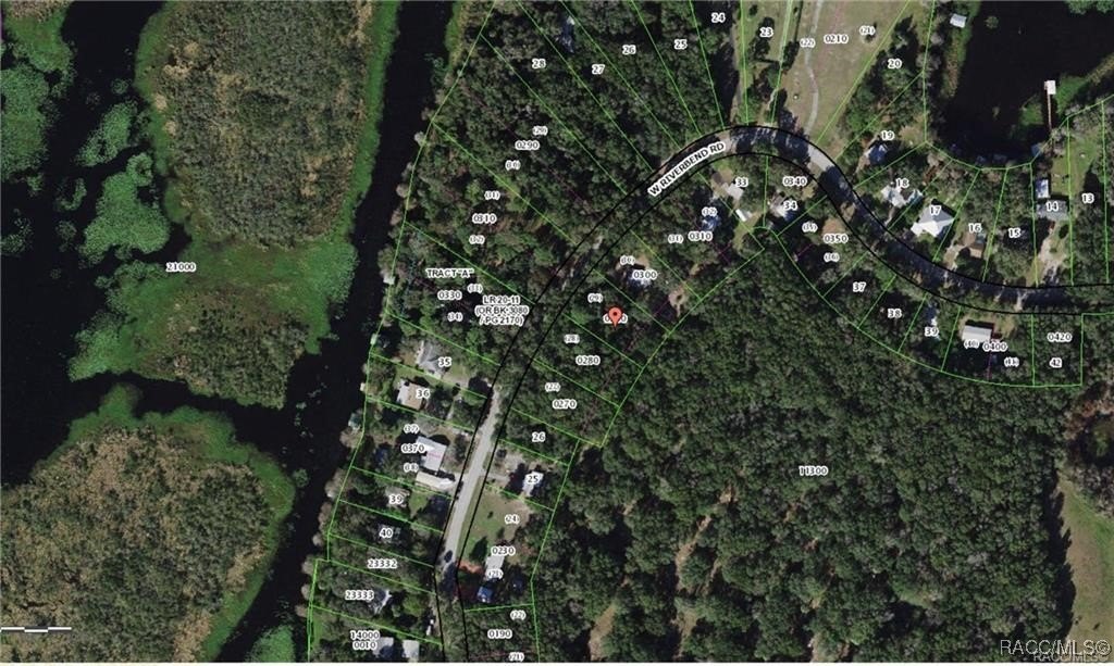 Wooded Lot Near Lake Rousseau