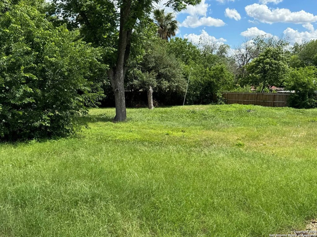 Picture 5