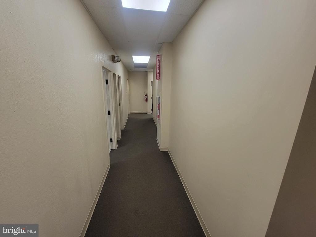 Picture 29