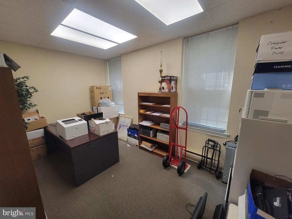 Picture 21