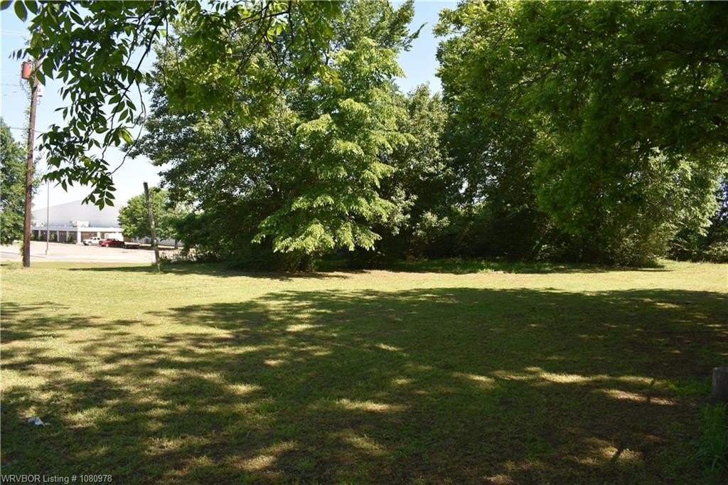 Picture 6