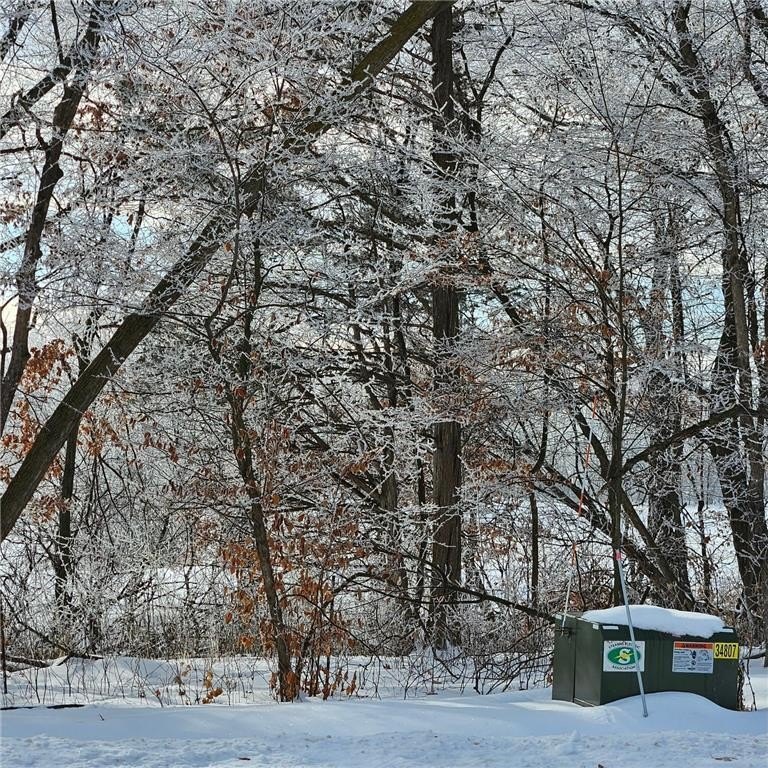Picture 8