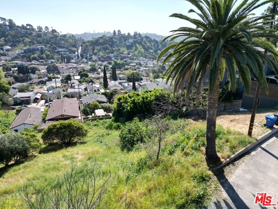 Picture 10